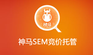 北京sem竞价托管代运营