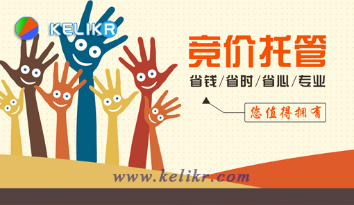 sem竞价托管代运营